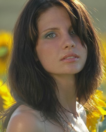 Nude teen posing among sunflowers