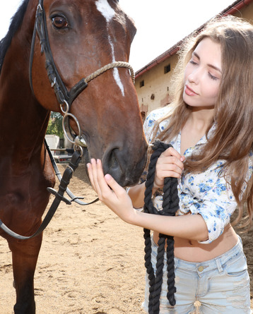 Horse Lover